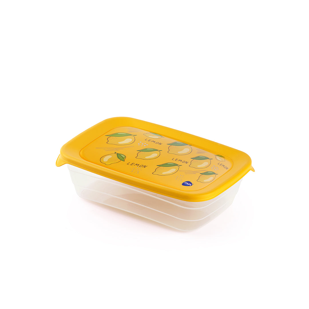 Frutto Food Container -500ML
