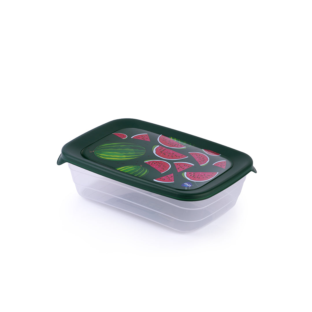 Frutto Food Container -500ML