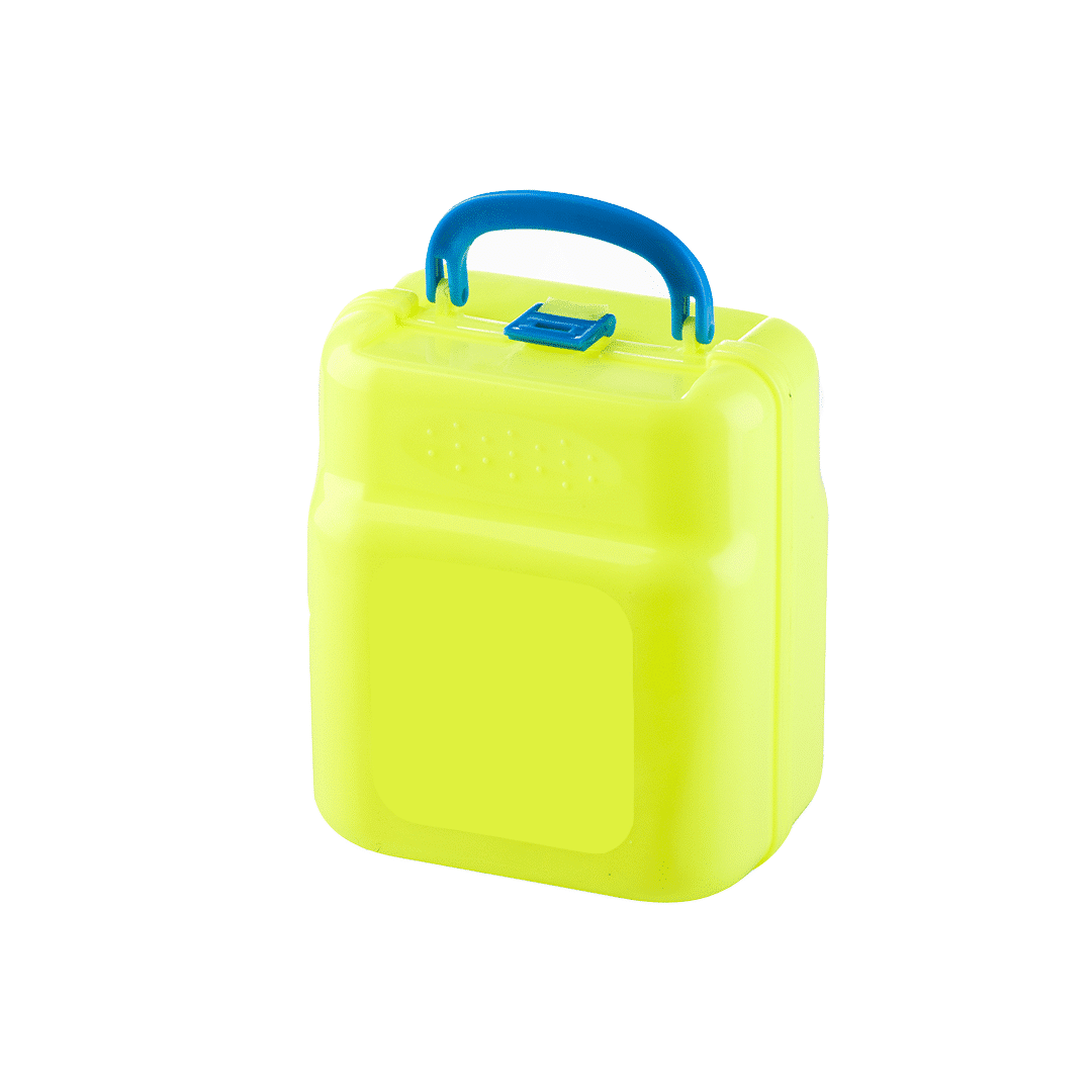 Lunch box with handle