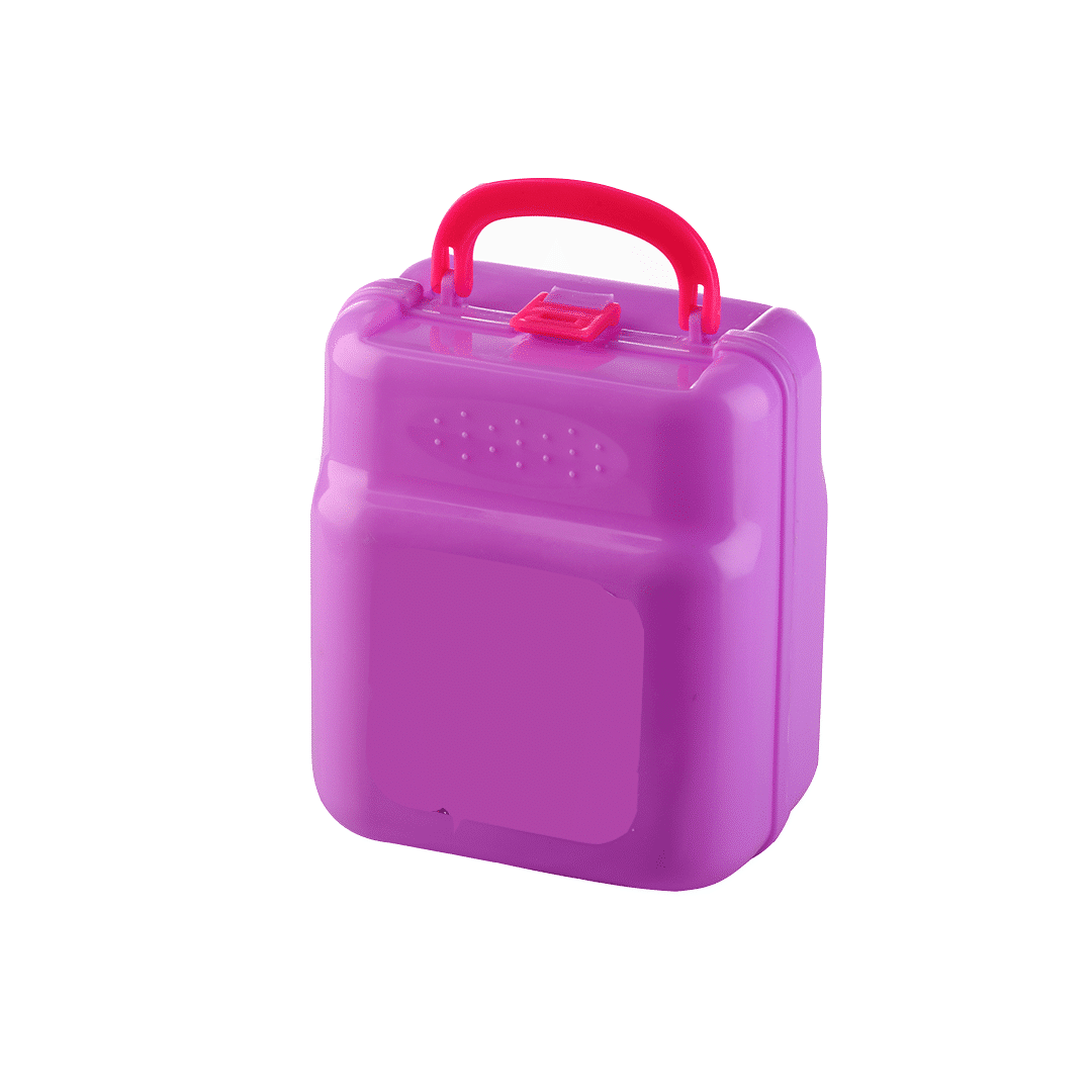 Lunch box with handle