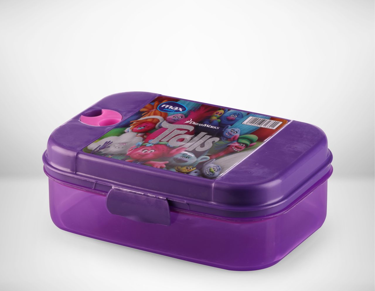 Trendy lunch Box