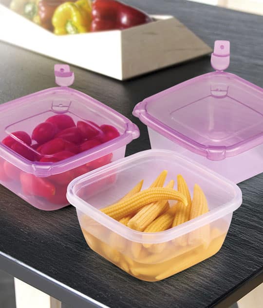 Food Container 2/3
